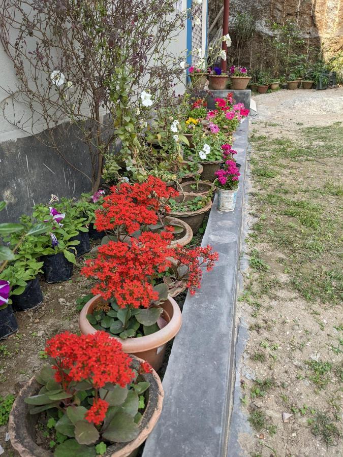 Nilachal Homes グワーハーティー エクステリア 写真